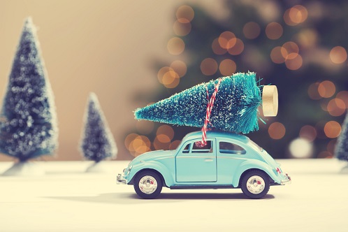 Temporary Car Insurance - Christmas Tree